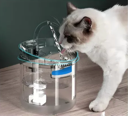 Bebedero Transparente de  Mascotas